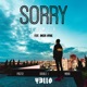 Sorry Remix feat Amera Hpone Single