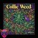 Collie Weed Single