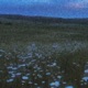 Eternal sleep Single