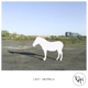 Lost Animals Radio Edit Demo Single