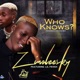 Who Knows feat Lil Frosh Single