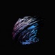 Pajaro Single