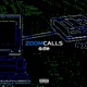 Zoom Calls Single