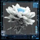 BEAUTY Single
