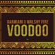 Voodoo feat Walshy Fire Single