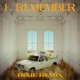 I Remember Dixie Remix Single
