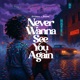 Never Wanna See You Again feat Janèe Single