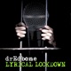 Lyrical Lockdown Single