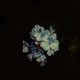 The Garden Inside of You Porou Remix Single