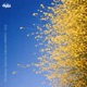 Chasing Rain Single