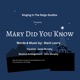 Mary Did You Know feat Janet Murphy Cover Single