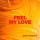 Feel My Love Single