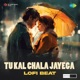 Tu Kal Chala Jayega Lofi Beat Single