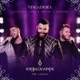 Vingadora Ao Vivo Single
