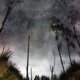 Ghost Woods