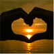 Sunsets In Cabo Single