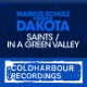Saints In a Green Valley Remixes