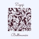 Zegezi Single