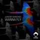Wanna Fly