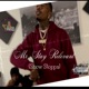 Mr Stay Relevant Show Stoppa Single
