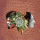 Flor de Laranjeira feat Mestrinho Single