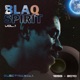 Blaq Spirit ElectricMELT 1996 2010 Vol 1