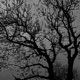 In the Bleak Midwinter Single
