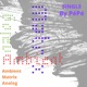 Ambient Matrix Analog Single