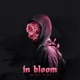 In Bloom Single