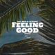 Feeling Good feat Skitz Lil unny Single