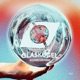 Glaskugel Single