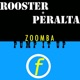 Zoomba Pump It Up Single