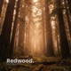 Redwood Single