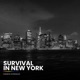 Survival In New York feat Cinnamon