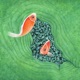 Lost Fish Single