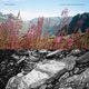 Mare a Mare Sequenza Version Single
