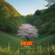 Debu Single