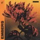 Embers Single