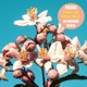 Flower and Willow World Of Norway Version Single