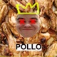 Pollo Pollo Single