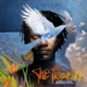 The Traveller Special Edition