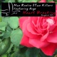 Heart Breaking feat Ange Single