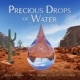 Precious Drops of Water Single