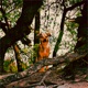 Losing Focus feat Seth Ambrosius Single