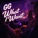 What I Want Single