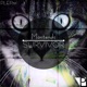 Survivor Single