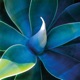 Azur