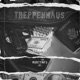 Treppenhaus Slowed Reverb Single