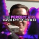 The Perfect Girl Hardstyle Single