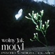 wolny jak motyl Single